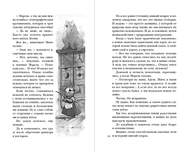 Книга Хозяйка магической лавки. Книга 1 (Александра Черчень) — 7