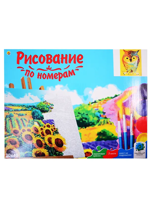 Набор д/творчества Рыжий кот Холст с красками 30х40см по номерам (в коробке) (19цв.) Разноцветная сова Х-2899 2831547 — 2