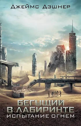 Книга Испытание огнем (Джеймс Дэшнер)