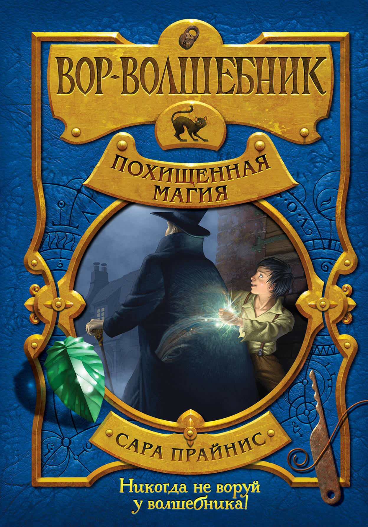 

Вор-волшебник. Похищенная магия (#1)