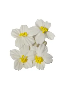 Цветы франжелани белые (SCB291702) (4шт) (упаковка)