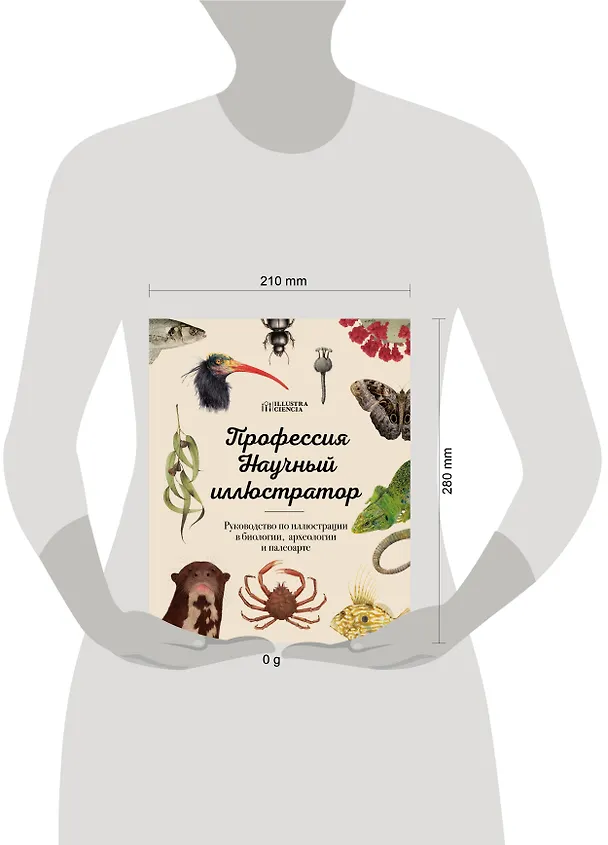 Книга Профессия — Научный иллюстратор. Руководство по иллюстрации в биологии, археологии и палеоарте () — 10