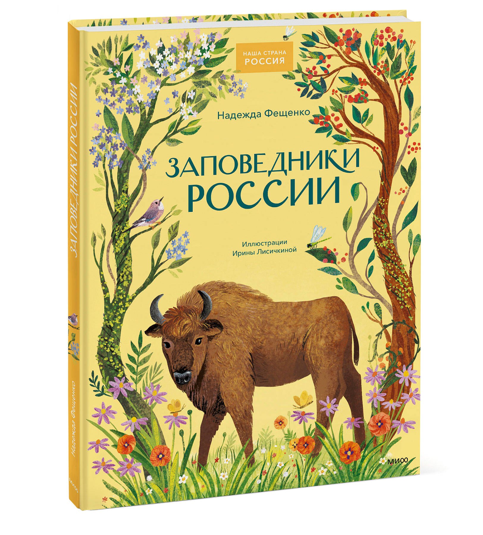 Изображение бумажной книги