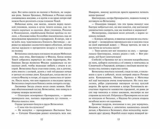 Книга Самая темная ночь (Эрин Хантер) — 6