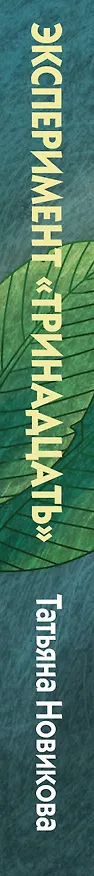 Книга Эксперимент "Тринадцать" (Татьяна Новикова) — 3