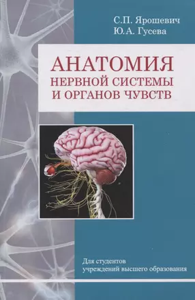 Анатомия нервной системы и органов чувств — 3061864 — 1