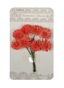 Маргаритки алые (SCB281405) (1 букетик) (в букете 8шт.) (упаковка)