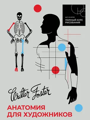 Книга Анатомия для художников (Фостер Вальтер)