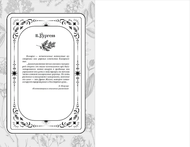 Книга Дилогия «Аконит, Фантом» (в подарочном оформлении) (Ирена Мадир) — 16