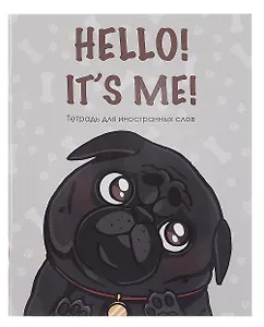 Тетрадь для записи иностр.слов А5 48л "Hello!" скрепка, мел.картон, глянц.ламинация