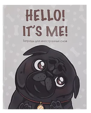 Тетрадь для записи иностр.слов А5 48л "Hello!" скрепка, мел.картон, глянц.ламинация 3084211