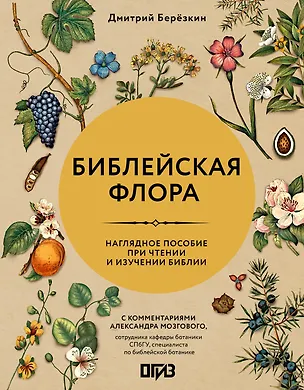 Книга Библейская флора (Дмитрий Березкин)