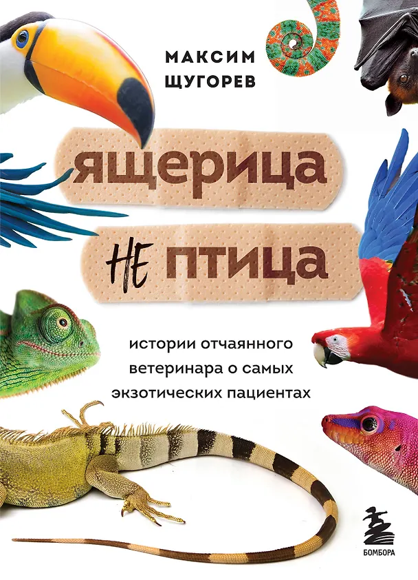 Книга Ящерица не птица. Истории отчаянного ветеринара о самых экзотических пациентах (Максим Щугорев) — 1