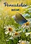 Записки постороннего. Книга 1. Ромашковое поле — 2952615 — 1