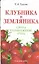 Клубника и земляника: сорта, размножение, уход — 2405219 — 1