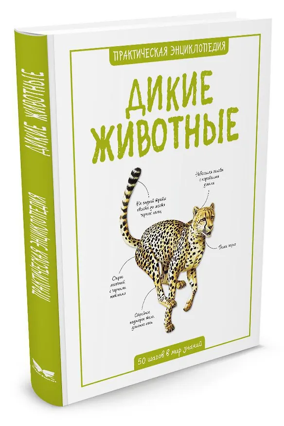 Книга Дикие животные (Салли Морган) — 2
