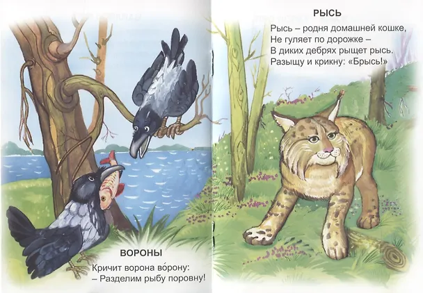 Книга Живые скороговорки (Владимир Борисов) — 4