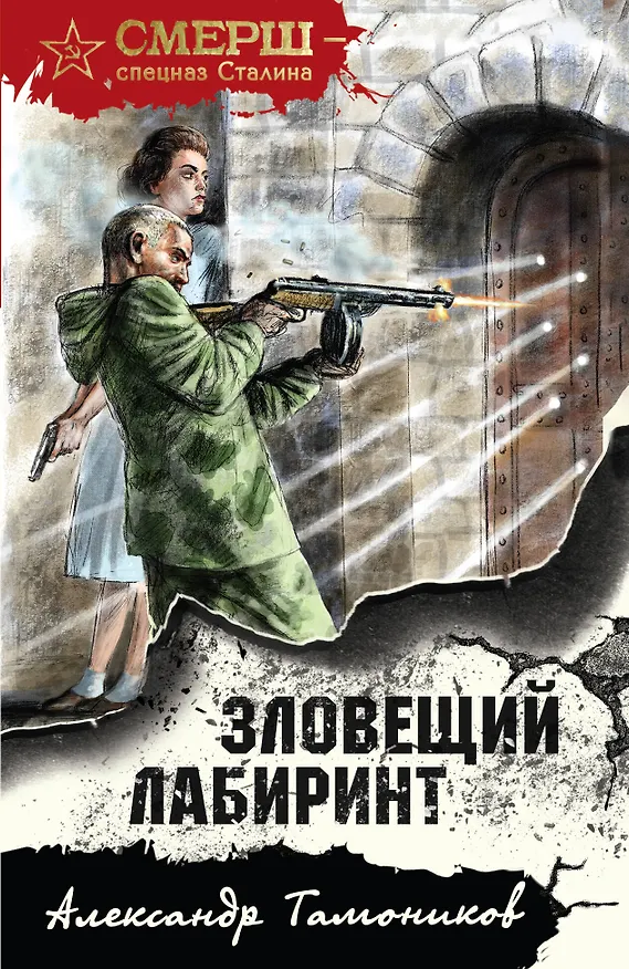 Книга Зловещий лабиринт (Александр Тамоников) — 1