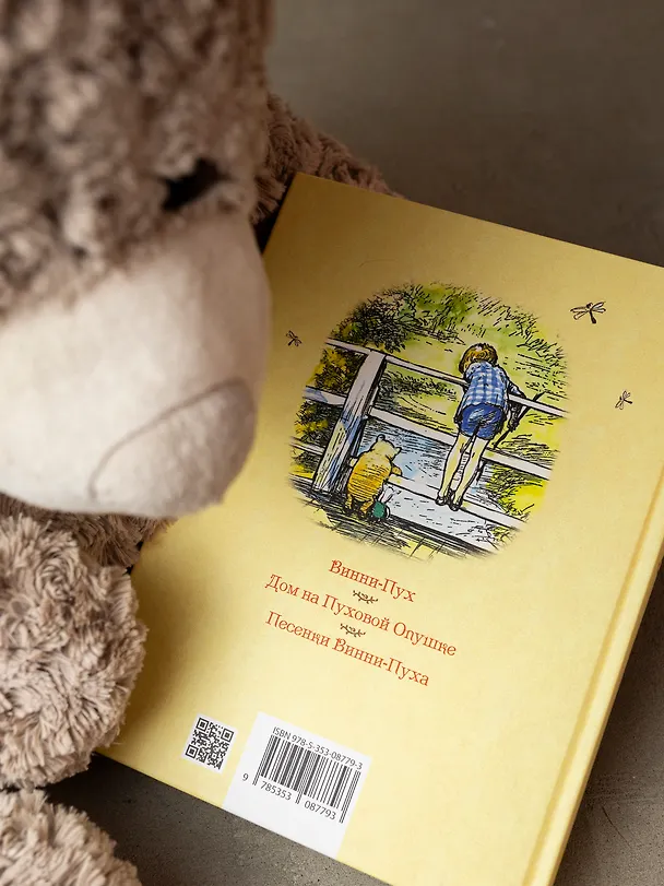 Книга Винни-Пух и все-все-все (Алан Милн) — 6
