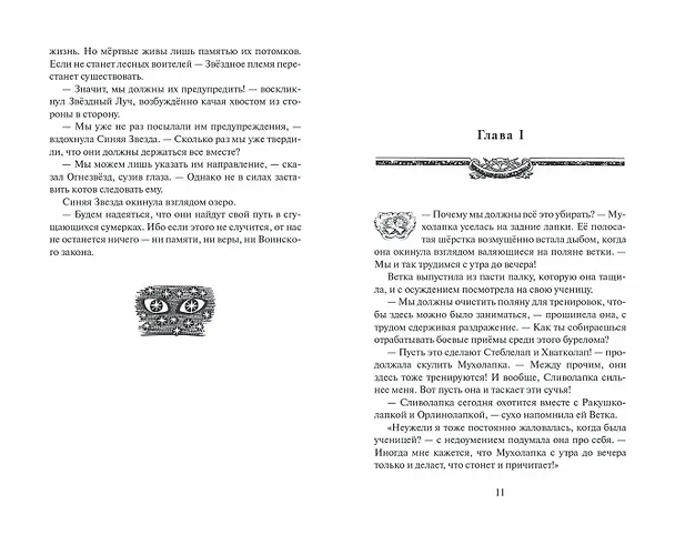 Книга Неистовая буря (Эрин Хантер) — 5