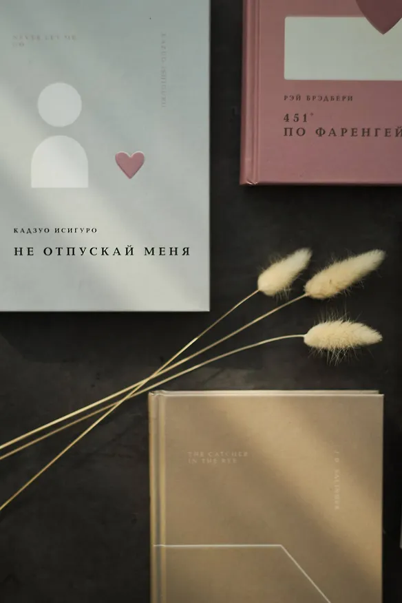 Книга Не отпускай меня (Кадзуо Исигуро) — 14