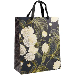 Пакет А4 32*26*12 "Birdie" жен., бум.мат.ламинат