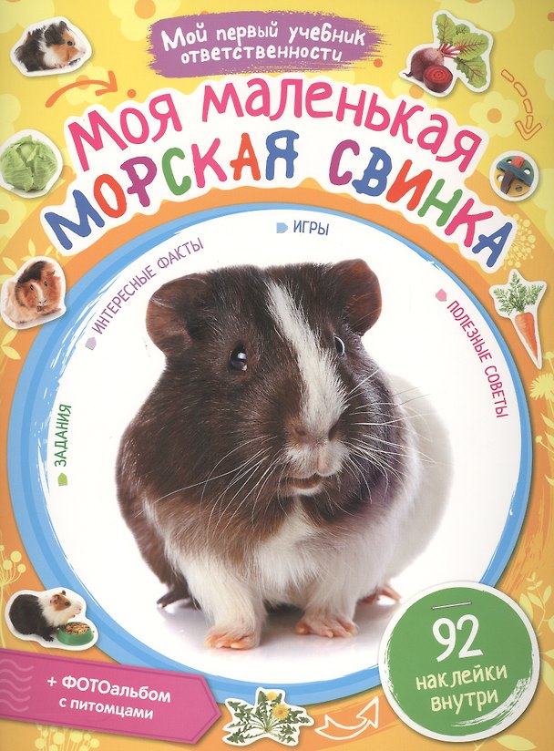 Книга Моя маленькая морская свинка + наклейки внутри () — 1