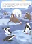 Звери и не только: книжка с наклейками — 2848292 — 2