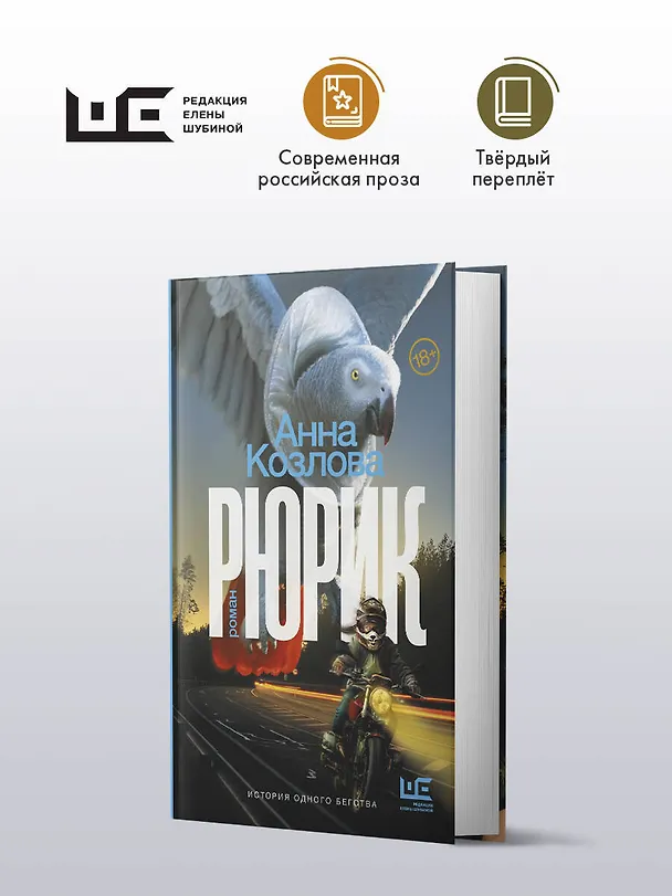 Книга Рюрик (Анна Козлова) — 4