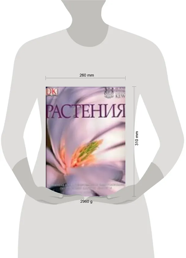 Книга Растения: Новейшая иллюстрированная энциклопедия по зеленому царству планеты (Джанет Маринелли) — 2