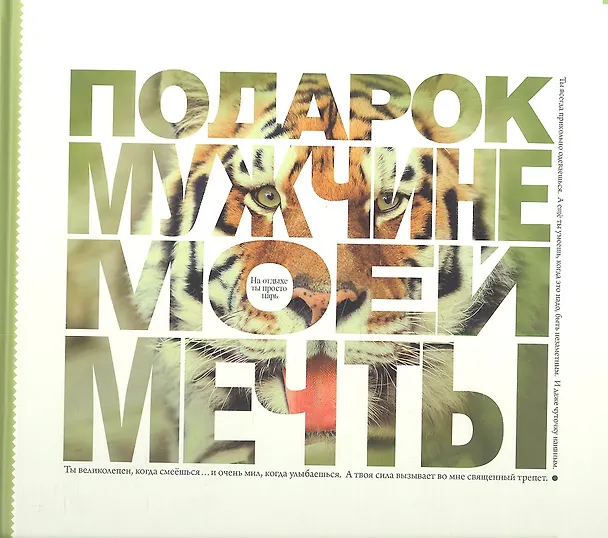Книга Подарок мужчине моей мечты. Фотоальбом (А.Н. Ушаков) — 1