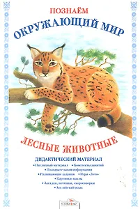 Лесные животные.Дид.материал