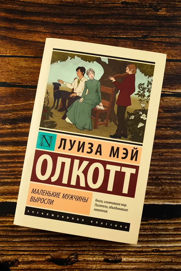Книга Маленькие мужчины выросли (Луиза Мэй Олкотт) — 6
