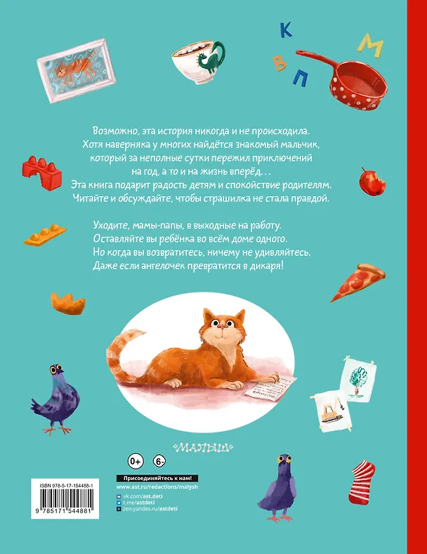 Книга Один дома (Ангелина Лисицкая, Сергей Киселев) — 2