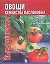 Выращиваем овощи семейства пасленовых: Томаты, перец, баклажаны — 1665918 — 1