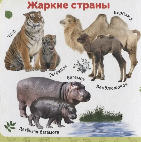 Книга Мамы и детки () — 4