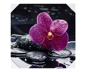 Картина Орхидея и черные камни (40х40) (740-077) 2430678