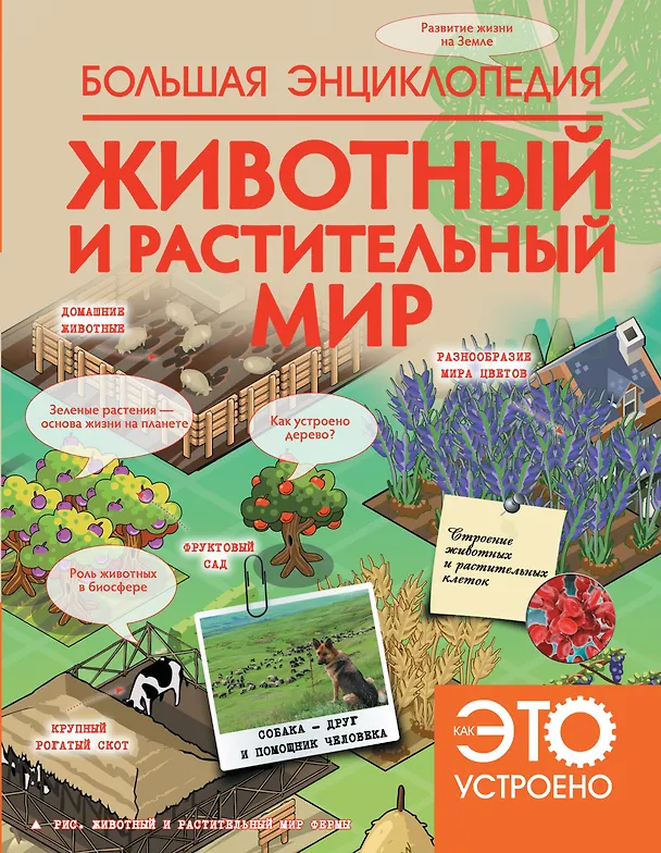 Книга НГ(под)2016!КакЭтоУстроено.Бол. энц:Животный и растительный мир (Владимир Спектр) — 1