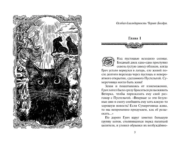 Книга Испытание Грача. Книга 2. Прощение (Эрин Хантер) — 3