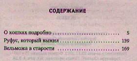 Книга Кошки (Дорис Лессинг) — 2
