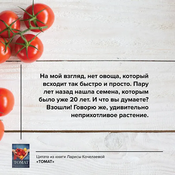 Книга Томат. Выращиваем, ухаживаем и едим (Лариса Кочелаева) — 7