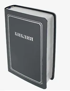 Библия 056 MS ИИЖ (Синяя)