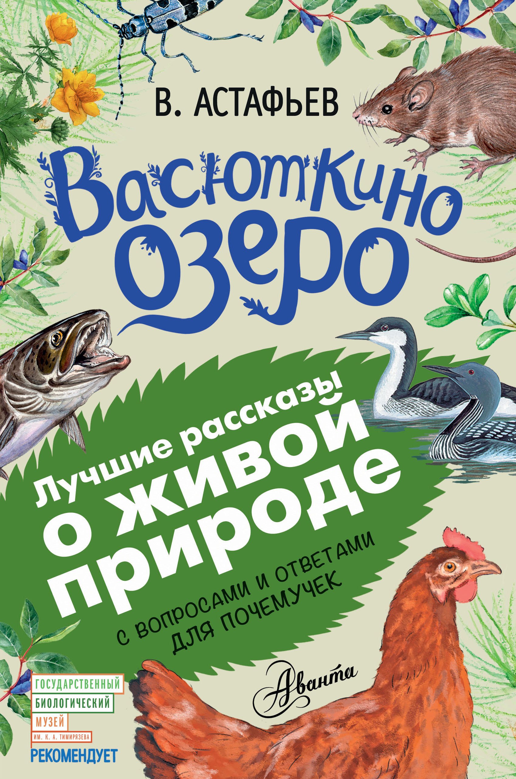 

Васюткино озеро
