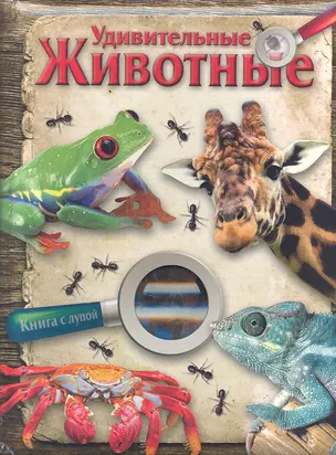 Книга с лупой. Удивительные животные — 2348949 — 1