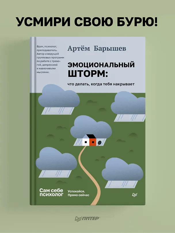 Книга Эмоциональный шторм: что делать, когда тебя накрывает. Успокойся. Прямо сейчас (Артем Барышев) — 3