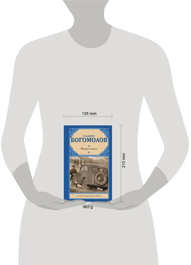 Книга Момент истины: роман (Владимир Богомолов) — 7