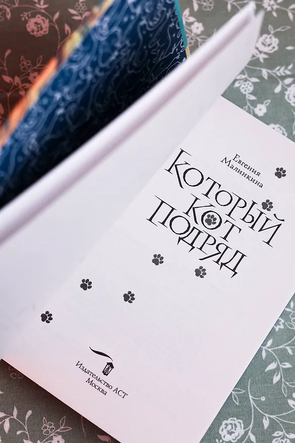Книга Который кот подряд (Евгения Малинкина) — 12