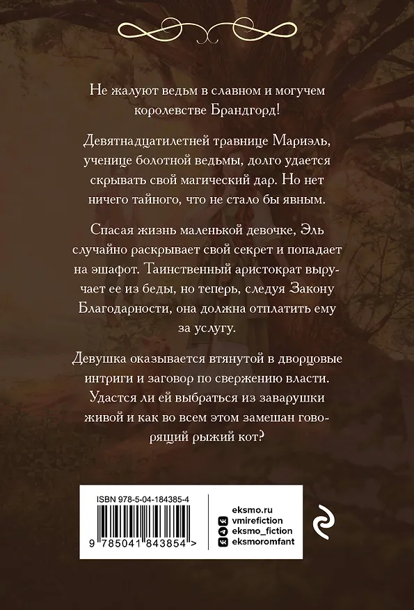 Книга Закон Благодарности. Ведьма (Маргарет Астер) — 2