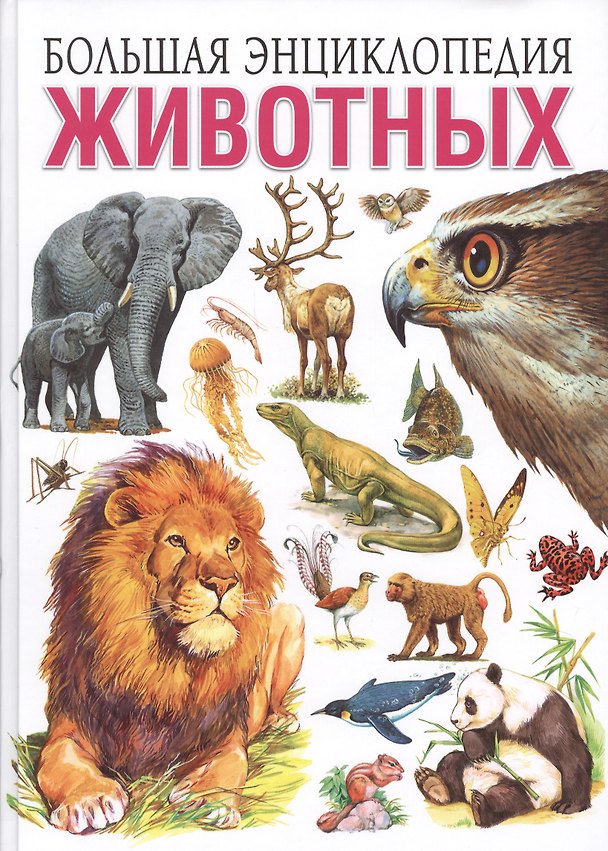 Книга Большая энциклопедия животных (Сергей Рублёв, Тамара Скиба) — 1