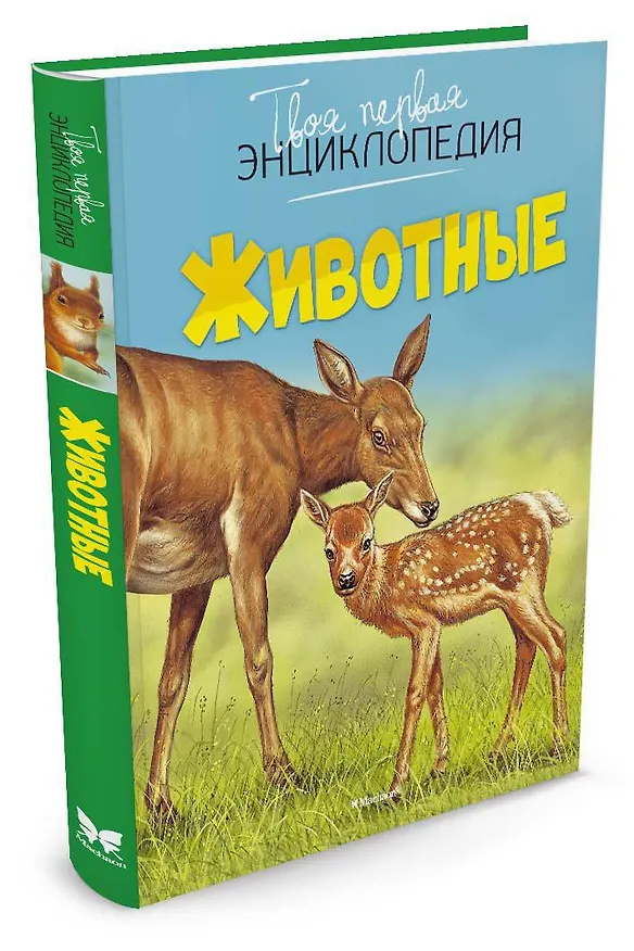 Книга Животные (Эмили Бомон) — 4